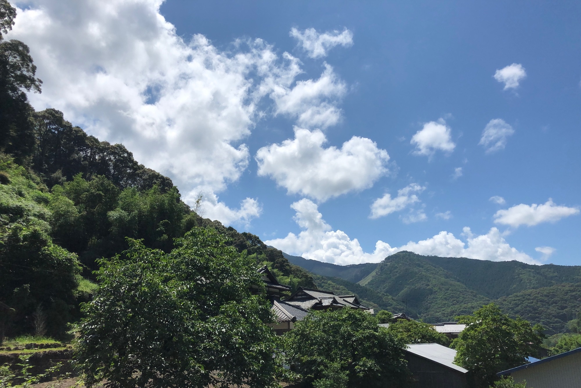 川を渡る小道の風景