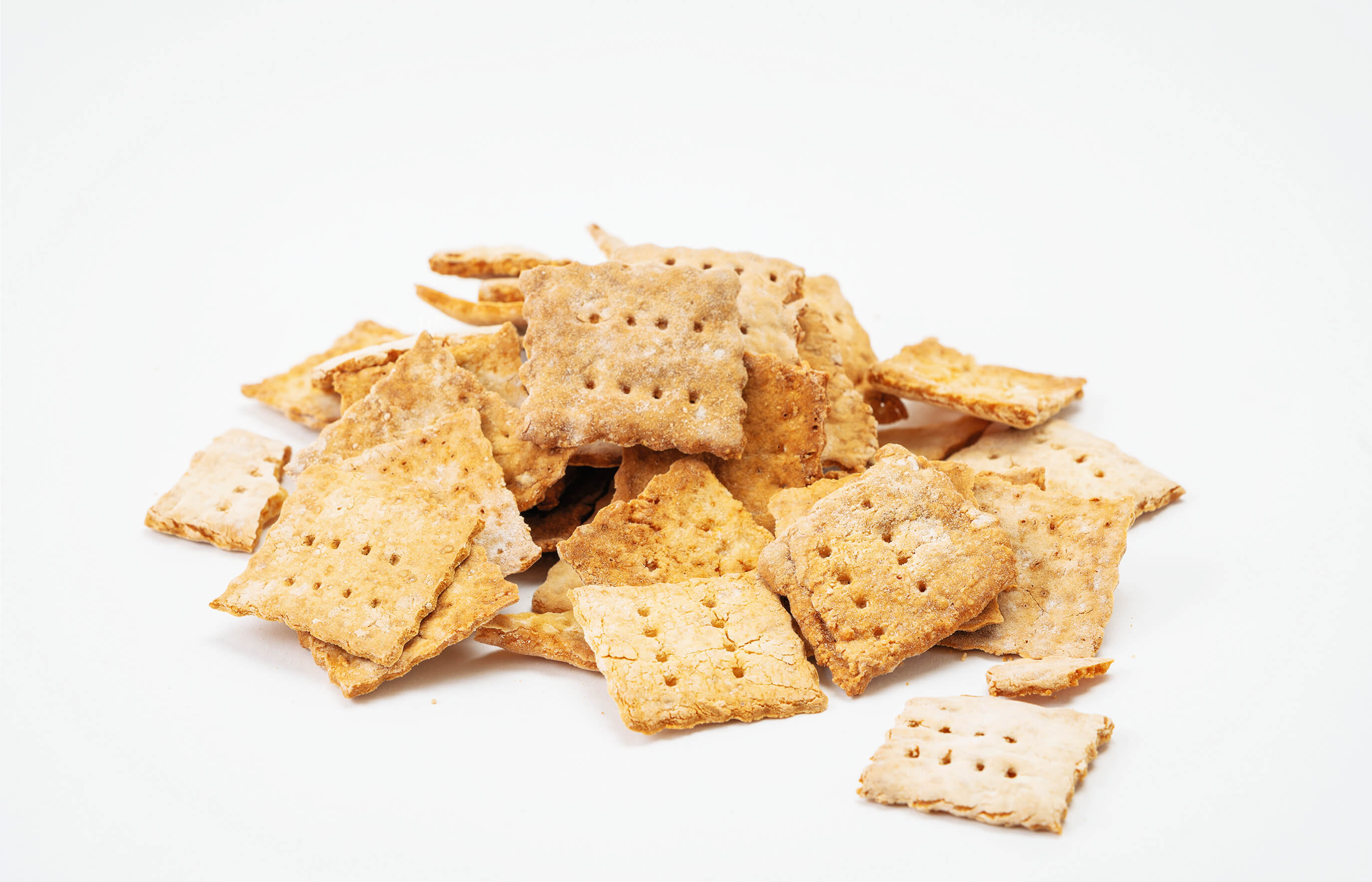 ザクビスくん写真