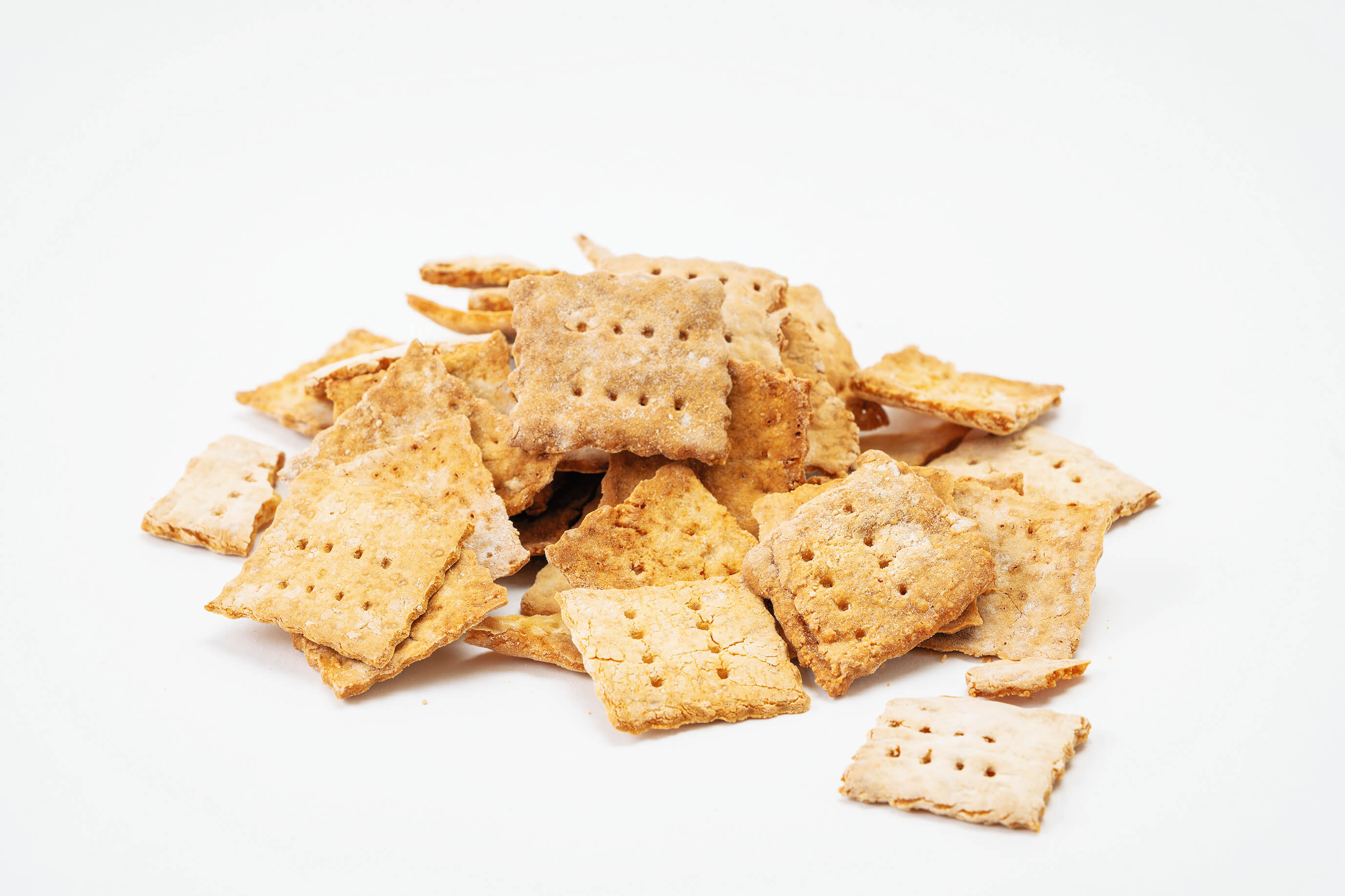 ザクビスくん写真